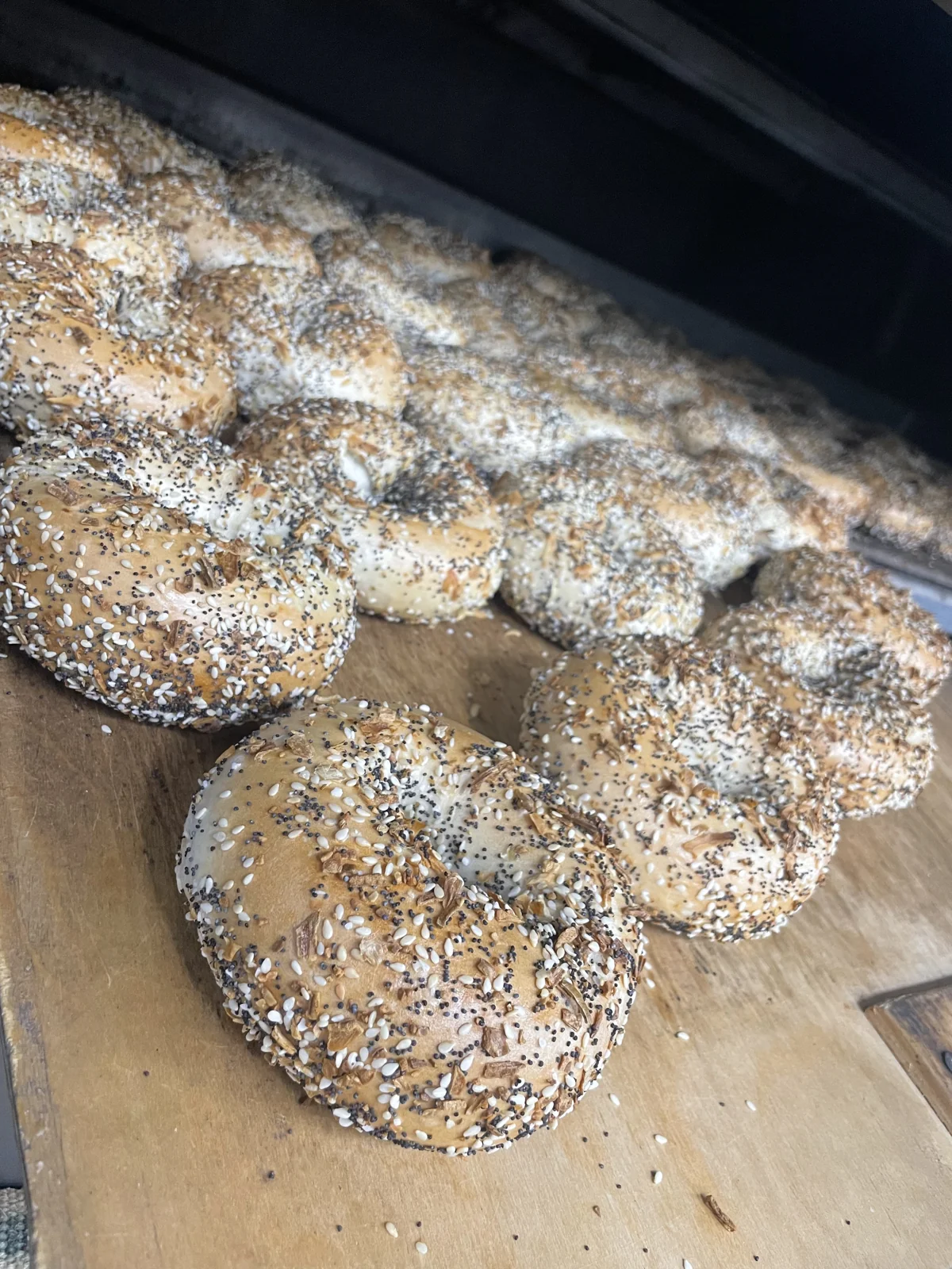 Bagel Bistro everything bagels fresh from the oven